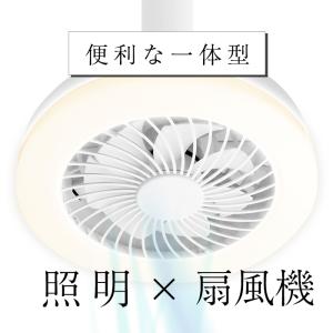 プラス30日延長保証 シーリングファンライト ...の詳細画像4