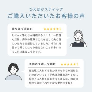 ケース付き 氷のう 氷嚢 アイシング アイスパ...の詳細画像2