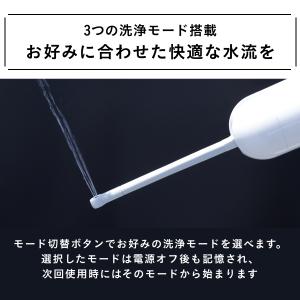 ドリテック 公式 携帯 充電式 おしり洗浄機 ...の詳細画像3