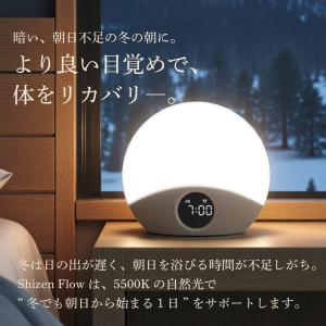 日経新聞4月掲載商品 Shizen Flow ...の詳細画像1