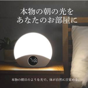 日経新聞4月掲載商品 Shizen Flow ...の詳細画像3
