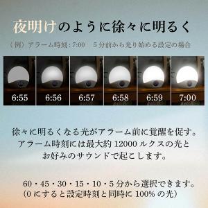 日経新聞4月掲載商品 Shizen Flow ...の詳細画像5