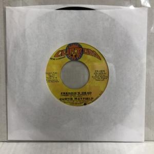 CURTIS MAYFIELD / FREDDI...の商品画像