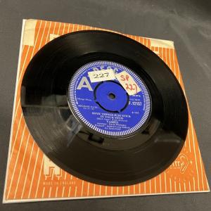 VASHTI BUNYAN / SOMETHI...の詳細画像2