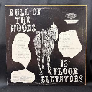 13TH FLOOR ELEVATORS / ...の詳細画像1