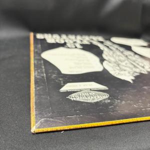 13TH FLOOR ELEVATORS / ...の詳細画像4