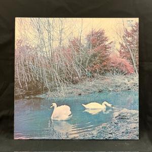 AFFINITY (JAZZ/PROG) / ...の詳細画像1