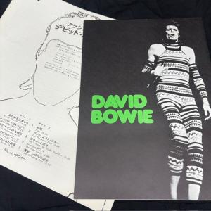 デヴィッド・ボウイ / アラジン・セイン 国内...の詳細画像2