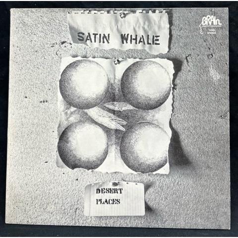 ●限定値下●SATIN WHALE / DESERT PLACES (GERMAN ORIGINAL...