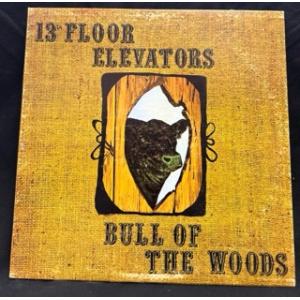 13TH FLOOR ELEVATORS / BULL OF THE WOODS (US-ORIGI...