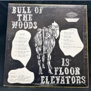 13TH FLOOR ELEVATORS / ...の詳細画像1