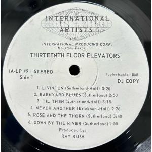 13TH FLOOR ELEVATORS / ...の詳細画像2