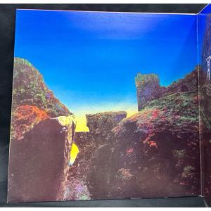 LED ZEPPELIN / HOUSES O...の詳細画像3