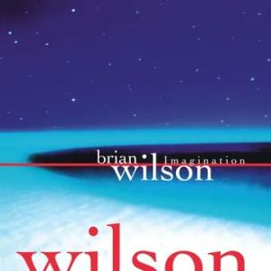 【新品】 BRIAN WILSON  / IMAGINATION (LP) (REMAKES OF ...