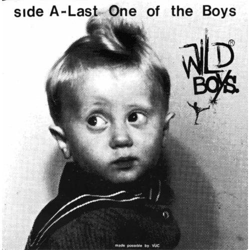 【新品】 WILD BOYS (PUNK) / LAST ONE OF THE BOYS (輸入7&quot;...