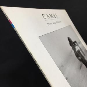 【激レア】韓国オンリーLP!CAMEL / D...の詳細画像2