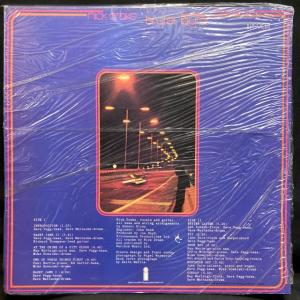 NICK DRAKE / BRYTER LAY...の詳細画像1