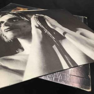 IGGY POP / STOOGES / RA...の詳細画像5
