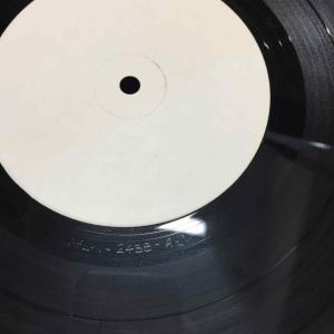 IGGY POP / STOOGES (IGG...の詳細画像2