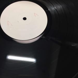 HENRY KAISER / MARRYING...の詳細画像4