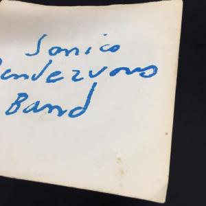 SONICS RENDEZVOUS BAND ...の詳細画像2