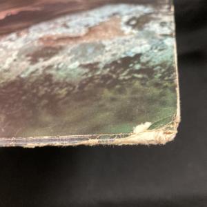 JUDEE SILL / JUDEE SILL...の詳細画像3