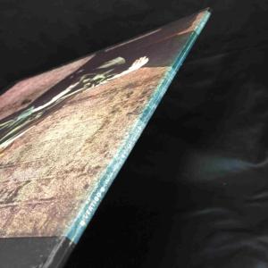 LINDA HOYLE / PIECES OF...の詳細画像2