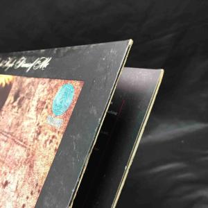 LINDA HOYLE / PIECES OF...の詳細画像4
