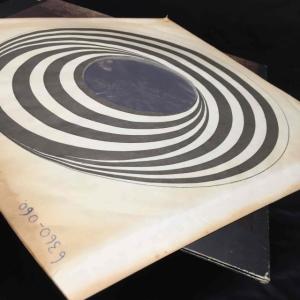 LINDA HOYLE / PIECES OF...の詳細画像5