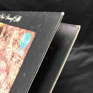 LINDA HOYLE / PIECES OF...の詳細画像4