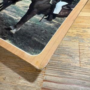 【激レア】フランス「Horse Cover」!...の詳細画像2