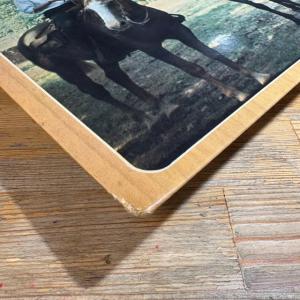 【激レア】フランス「Horse Cover」!...の詳細画像3