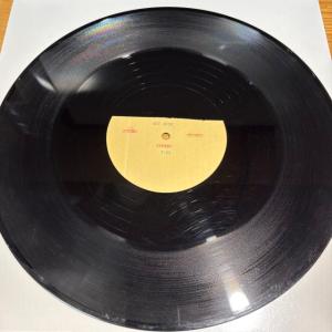 【ロック至宝盤】米国12片面アセテート盤! T...の詳細画像1