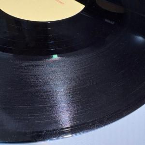 【ロック至宝盤】米国12片面アセテート盤! T...の詳細画像2