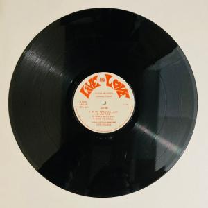 HUGH MUNDELL / JAH FIRE...の詳細画像2