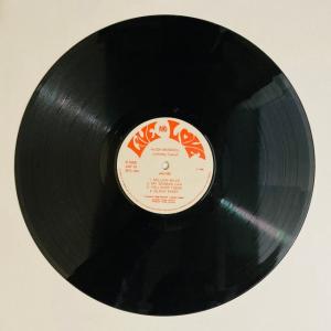 HUGH MUNDELL / JAH FIRE...の詳細画像3