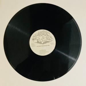 FAT MAN RIDDIM SECTI / ...の詳細画像3