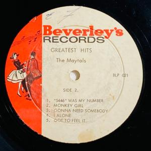 MAYTALS / GREATEST HITS...の詳細画像3