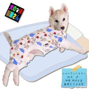 てんとう虫 服 犬服 アクセサリー の商品一覧 犬用品 ペット用品 生き物 通販 Yahoo ショッピング