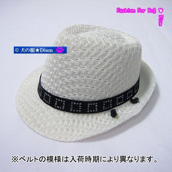 犬用帽子（大）ホワイト