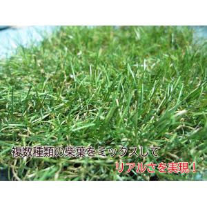 リアル人工芝(高麗芝)円形 丸形 雨水枡・汚水...の詳細画像2