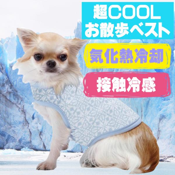 犬服 マルカン 超COOL お散歩ベスト SS ( 超小型犬用 ) 冷感 夏服 チワワ ヨークシャテ...