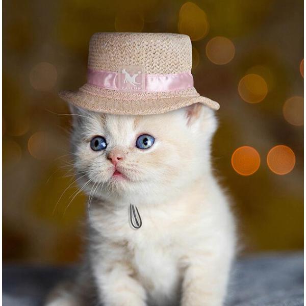 犬用 猫用 麦わら帽子 ピンクリボン S / ストローハット カンカン帽 ペット用アクセサリー チワ...