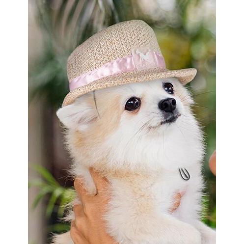 犬用 猫用 麦わら帽子 ピンクリボン L / ストローハット カンカン帽 ペット用アクセサリー チワ...