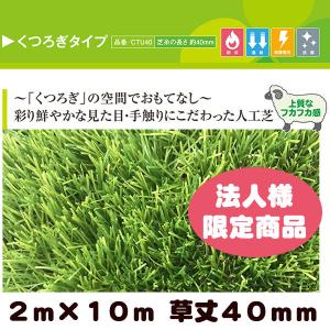 法人様限定商品 リアル人工芝 クローバーターフ ...の商品画像