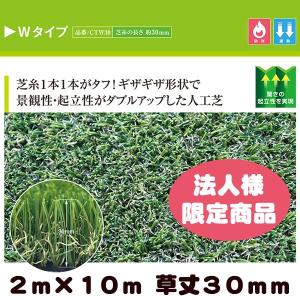 法人様限定商品 リアル人工芝 クローバーターフ Wタイプ 2m×10m 草丈30mm（プロ仕様・防炎試験適合・遮熱素材）