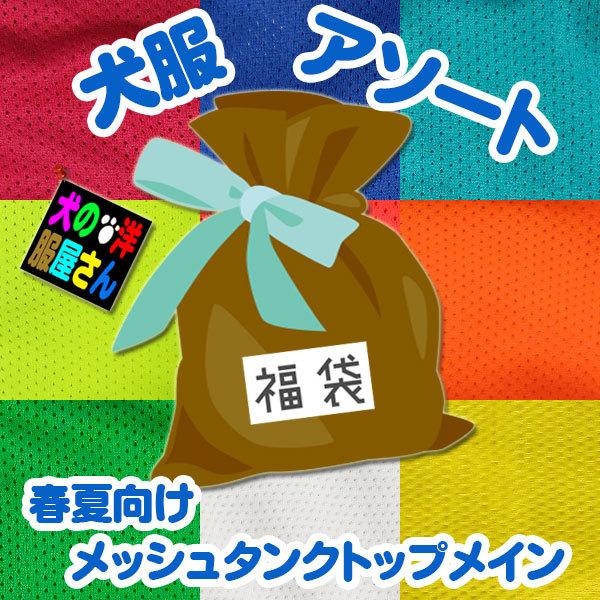 超大型犬用 犬服アソート福袋 5着セット 春夏向け（メッシュタンクトップメイン）ゴールデンレトリバー...