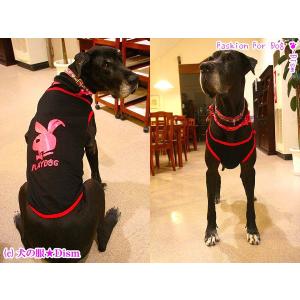 犬服 PLAYDOG タンクトップ（超小型犬用）ドッグウェア 犬の服２点購入でメール便送料無料｜dism