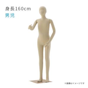 キッズ フレキシブルマネキン 身長160cm 男児 子供サイズ 全身可動 ジュニア ヘッド付き EX6-186-3-8｜displan