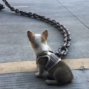 送料無料 フェイク大型犬用チェーンリード 面白...の詳細画像2